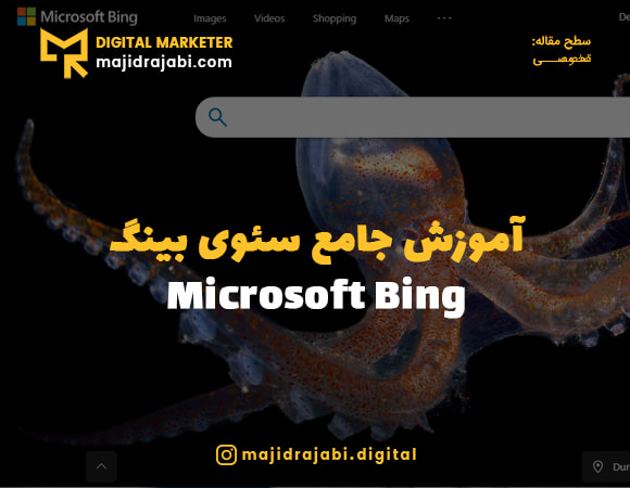 سئو بینگ